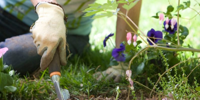 gardening makes people happy