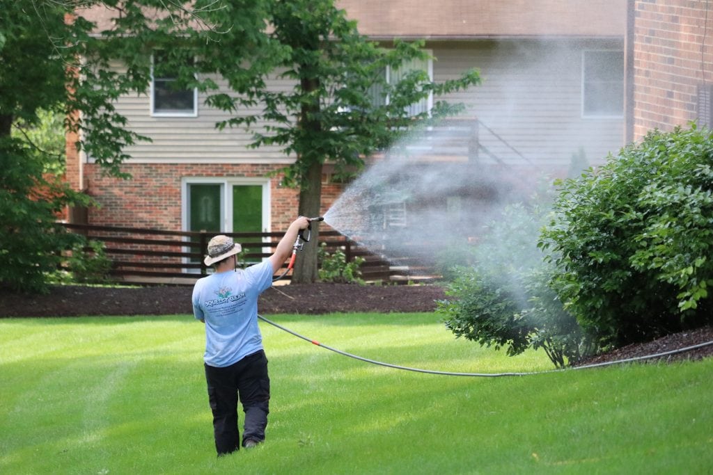 Pressure Washing